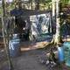 Image for article titled Hermits and Feral Children: People who lived isolated from civilization